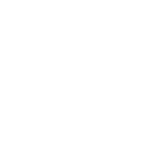 Logo Nações Unidas Brasil